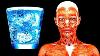 I Drank Only Water For 20 Days See What Happened To My Body